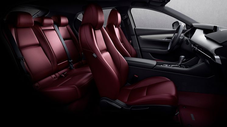 Mazda3 100th Anniversary Edition
