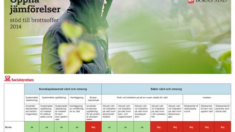 Ris och ros till Borås för arbetet med våld