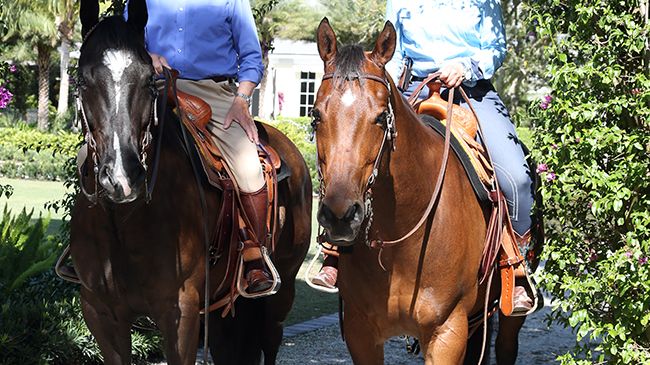 Axel Johnson Group ny sponsor i Falsterbo Horse Show