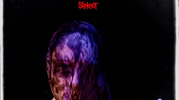 Slipknot - We Are Not Your Kind (album)