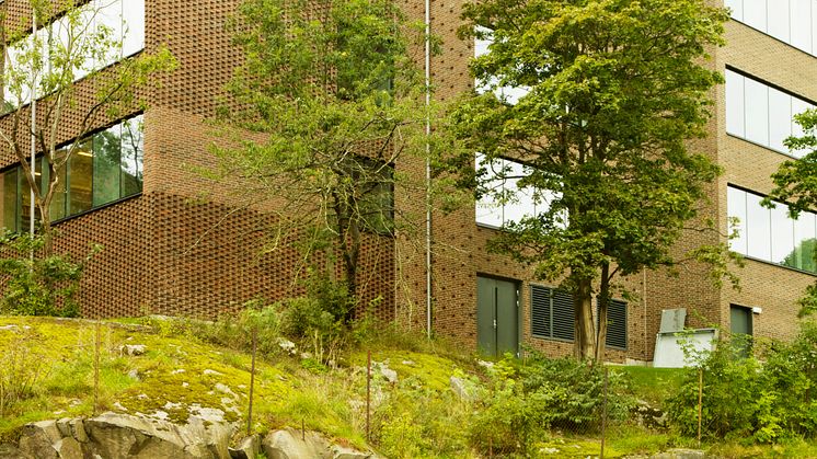 Gymnastik- och idrottshögskolan (GIH), Stockholm