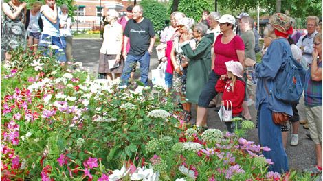 Tema 70-tal för årets sommarblomsplanteringar