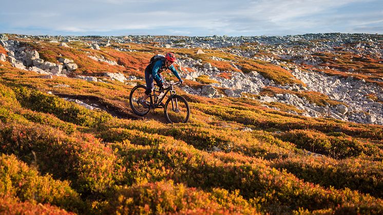 Høstfjellet i all sin prakt! Foto: Ola Matsson
