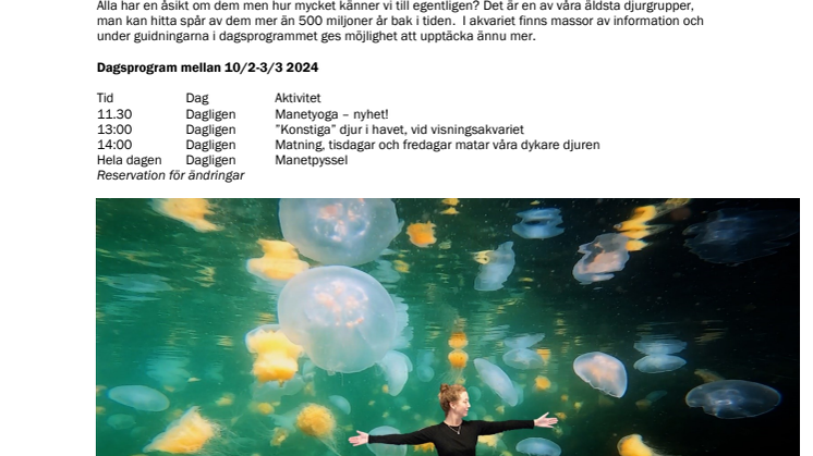 240208_Sportlovsaktiviteter på Havets Hus.pdf
