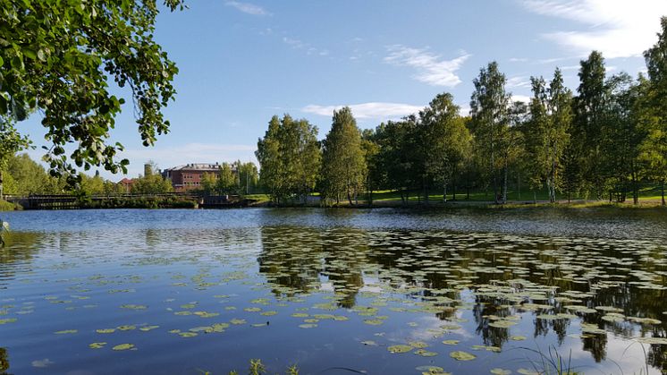 Östanforsån med Born i fonden. Foto: Jörgen Nykvist