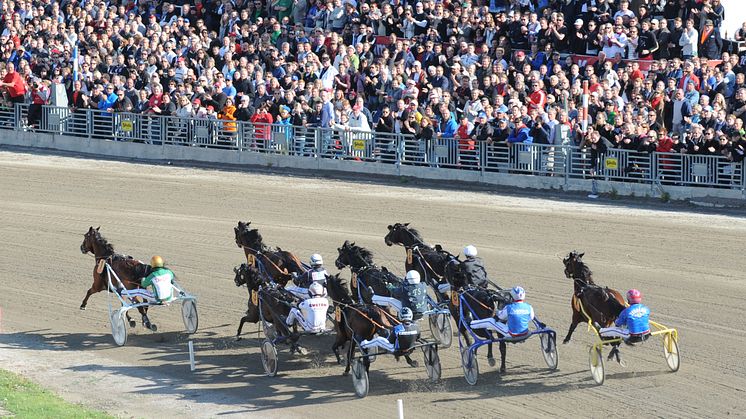 Elitloppet: Fantastisk sport, omsättningsrekord och höga tittarsiffror