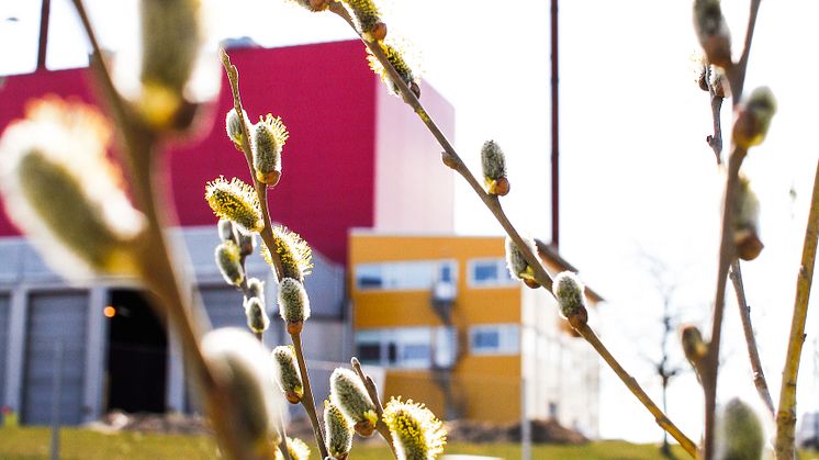 Kraftvärmeverket Energivägen