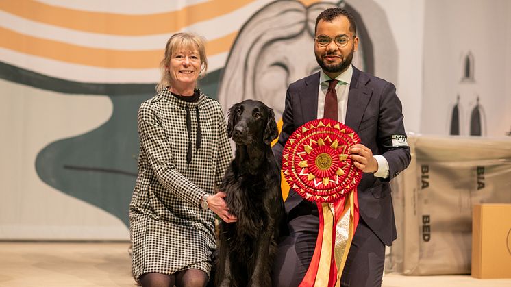 Best in Show på Stockholm Hundmässa Almanza King Of The Castle med ägare Carina Lundeklev och handler Patrick Oware. Foto: Jenny Jurnelius.