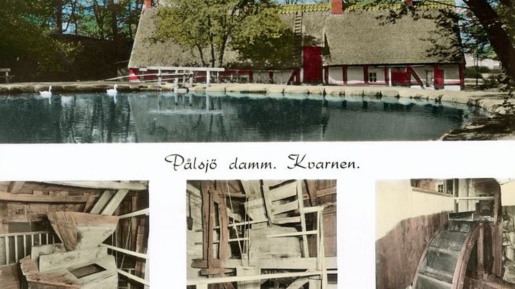 Foto: Vykort över Pålsjö damm (kvarnen) i form av fyra bilder. En exteriört över dammen och kvarnen och tre interiörbilder på kvarnen. Bild från Carlotta.