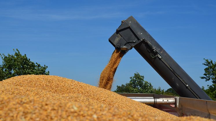 Danish Agro reviderer udbyttepolitik og øger overskudsudlodning for 2018