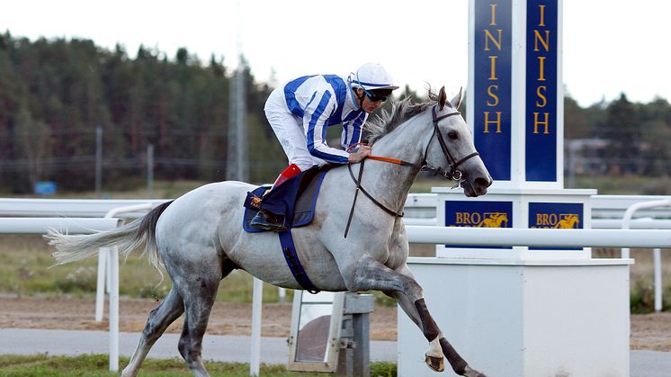 Thundering Blue vinner Stockholm Cup 2018