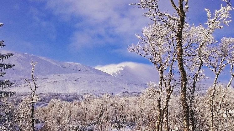 Snön har fallit i Åre