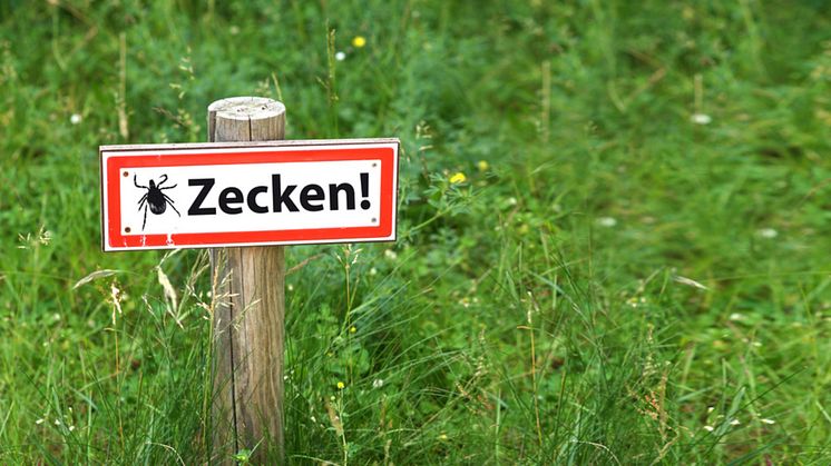 Zecken sind nicht nur bei Schönwetter aktiv! Solange die Temperatur mehrere Tage über sieben Grad liegt, ist Zeckenzeit.