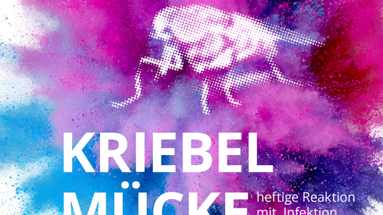 Kriebelmücke: heftige Reaktion mit Infektion am Fuß