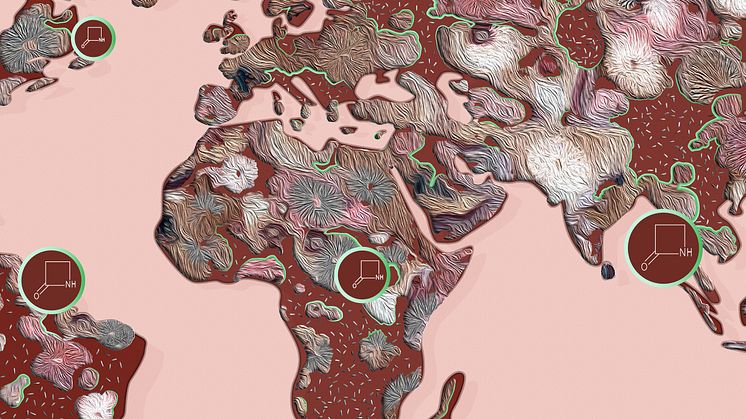 Global warfare between bacteria and fungi