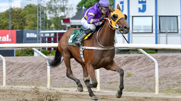 ​​​Annie Nilsson Lindahl och hästen Bearhunter vinner på Jägersro den 15 augusti. Foto: Stefan Olsson/Svensk Galopp