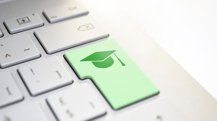 Die Hochschulen des Internationalen Bundes (IB), die Hochschule für Gesundheit und Soziales in Berlin sowie die Hochschule der Wirtschaft für Management in Mannheim, orientieren sich bei der Konzeption ihrer Studiengänge an Markt und Zielgruppen.