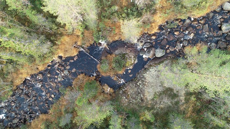Aerial view of an unmodified boulder-bed stream showing the density of boulders and the diverse habitats these create. Photo: Richard Mason and Jens Andersson