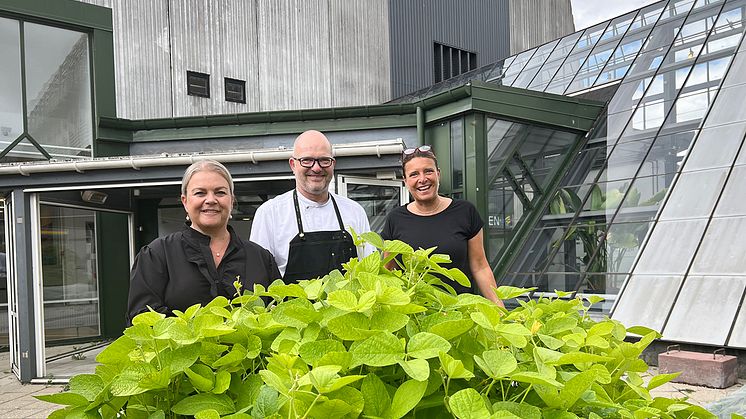 General Manager, Anne Mette Kyhn, køkkenchef i Kokkenes Køkken, Peter Sindt Hansen og driftschef i Kokkenes Køkken, Camilla Højrup, i urtehaven. 