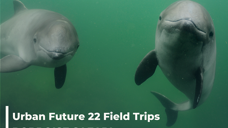 FieldTripUF22