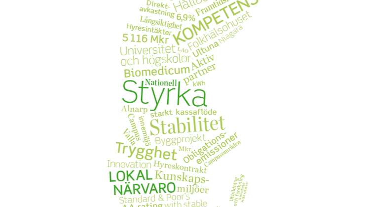 Årsredovisning 2011