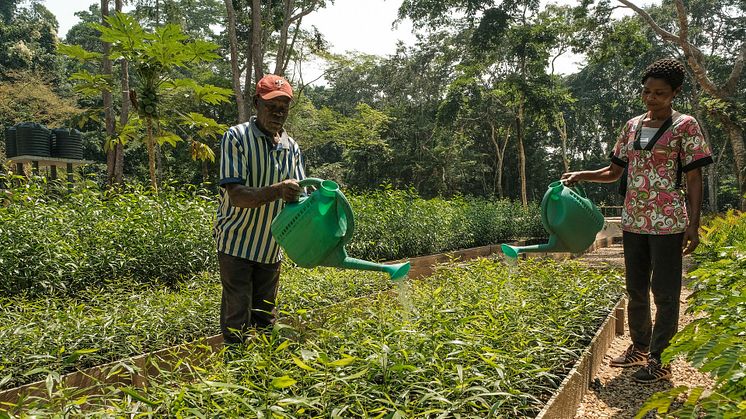 27 April, 2022 Webinar: Collaboration in Landscapes for Sustainable Development 