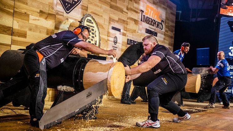 STIHL_TIMBERSPORTS_TEAM_WCH19_New_Zealand_Bobby_Dowling_ Single Buck