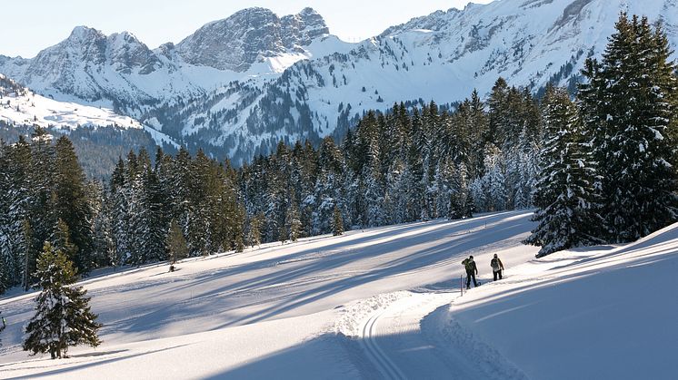 Wandern durch märchenhafte Moorgebiete und Bergfoehren-Waelder der UNESCO Biosphäre Entlebuch 