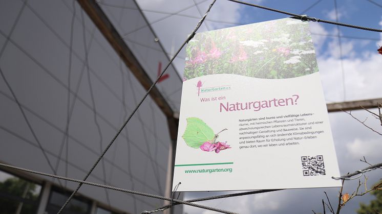 Der "Naturgarten" an der Universität Vechta - ein möglicher Nachhaltigkeitsspot?