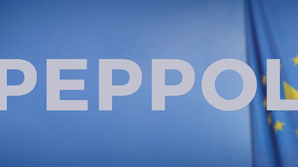 Fullt stöd för PEPPOL