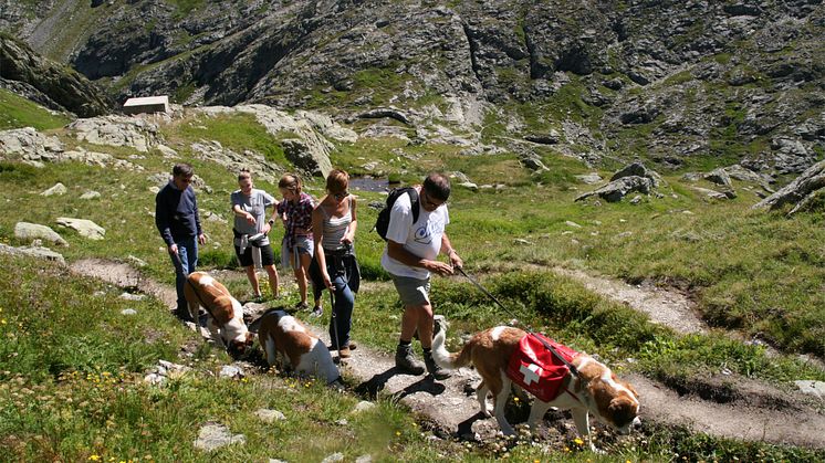 Passwanderung mit dem Bernhardiner in Martigny (Wallis)