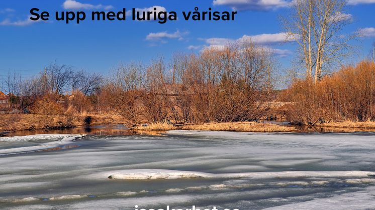 Se upp med luriga vårisar