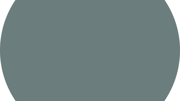 5489_Free-Spirit