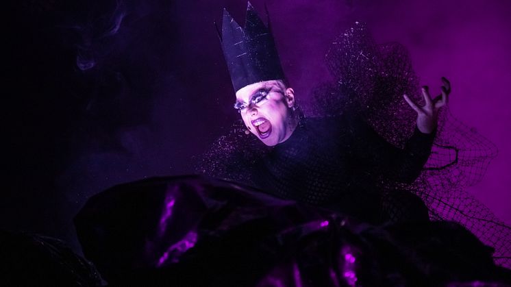 Pressbild Dragshow Robert Fux