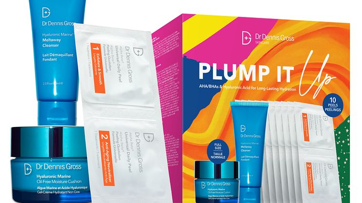 Dr Dennis Gross Plump it up Hyaluronic Christmas Kit