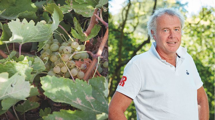 Matrunda med nytt vinfokus på Kiviks Musteri
