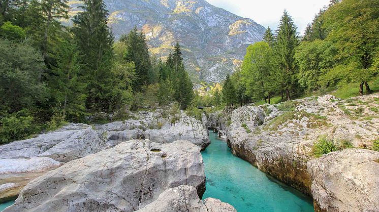 Soca River ©Jürgen Reichenpfader.jpg