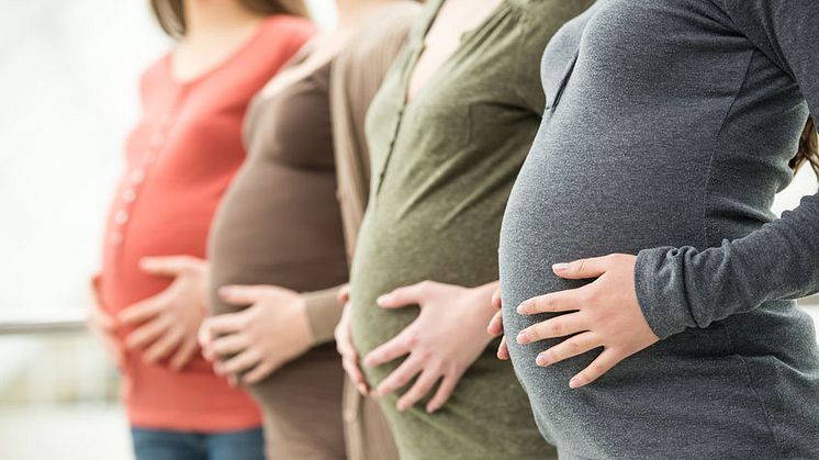 Ökat behov av information om CMV inom sjukvården
