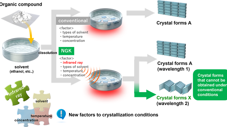NGK_image of Organic Compound Crystal Search Service