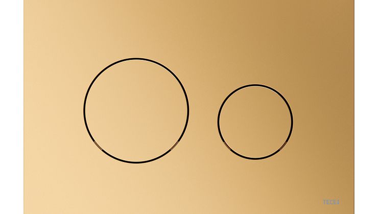 TECEloop_Massing