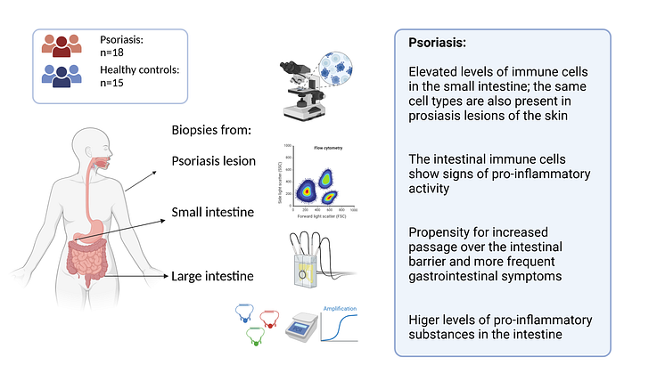 Illustration, summary