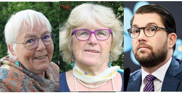 Ingrid Eckerman och Karin Fridell Anter har anmält Jimmie Åkesson för "hets mot folkgrupp" juli 2021.