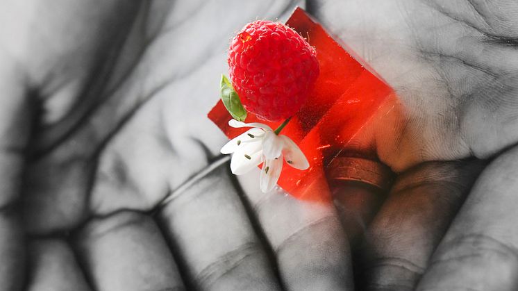 Louis François and Novax Ingredients enters exclusivity agreement for a long-term partnership
