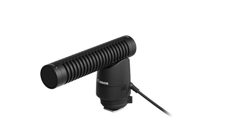 DM-E1 FSL