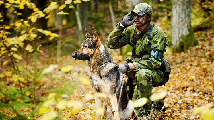Foto: Nicklas Gustafsson/Försvarsmakten