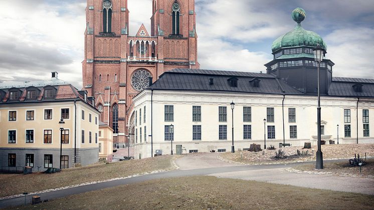 Universitetsparken blir kalhygge