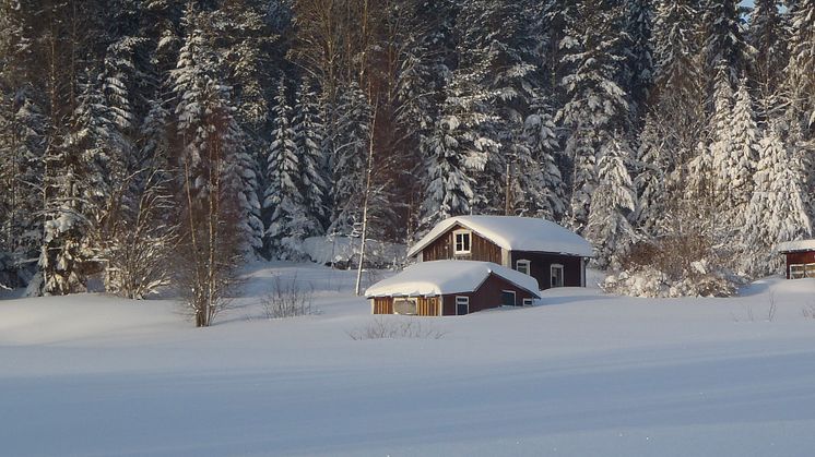 KSLA Nytt & Noterat nr 4-2021