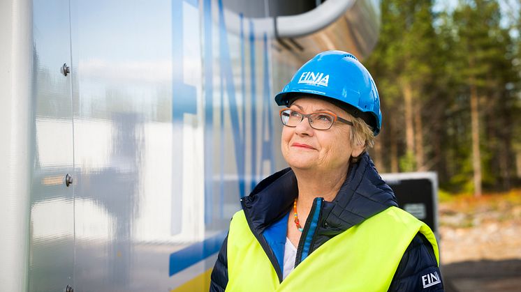 Stomresning av Finjas vindkraftverk
