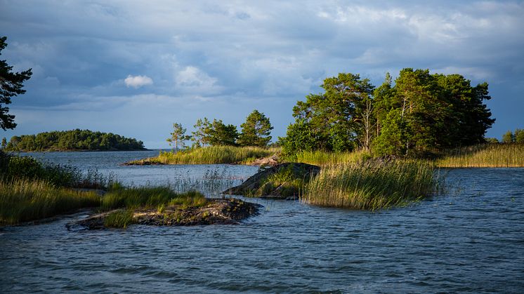 Skärgård