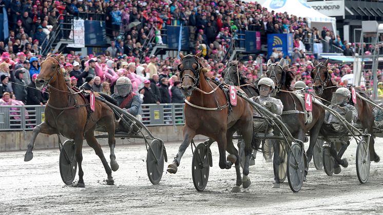 Elitloppsvinnare 2019, Dijon. Foto Lars Jakobsson/TR Media